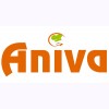 Aniva